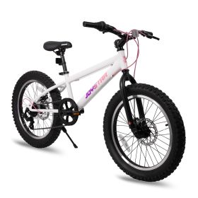 US 20 Inch Mountain Bike for Boy Girl Ages 7-16 Year Old, 3 Inch Wide Knobby Tire, 7 Speed Shimano, Disc Brakes, Fat Tire (Color: White, size: 20 inch)