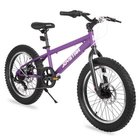 US 20 Inch Mountain Bike for Boy Girl Ages 7-16 Year Old, 3 Inch Wide Knobby Tire, 7 Speed Shimano, Disc Brakes, Fat Tire (Color: Purple, size: 20 inch)